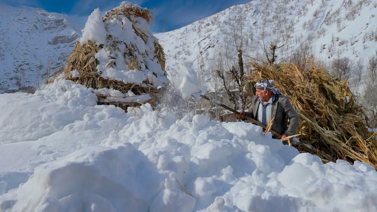 Hakkari'de besiciler zorlu mesaide, kar kalınlığı 2 metreyi aştı!