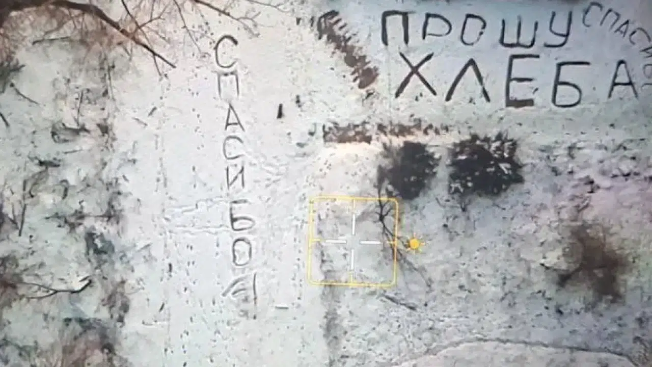 Savaşın soğuğunda sıcak bir an: Drone 'ekmek' için yön değiştirdi