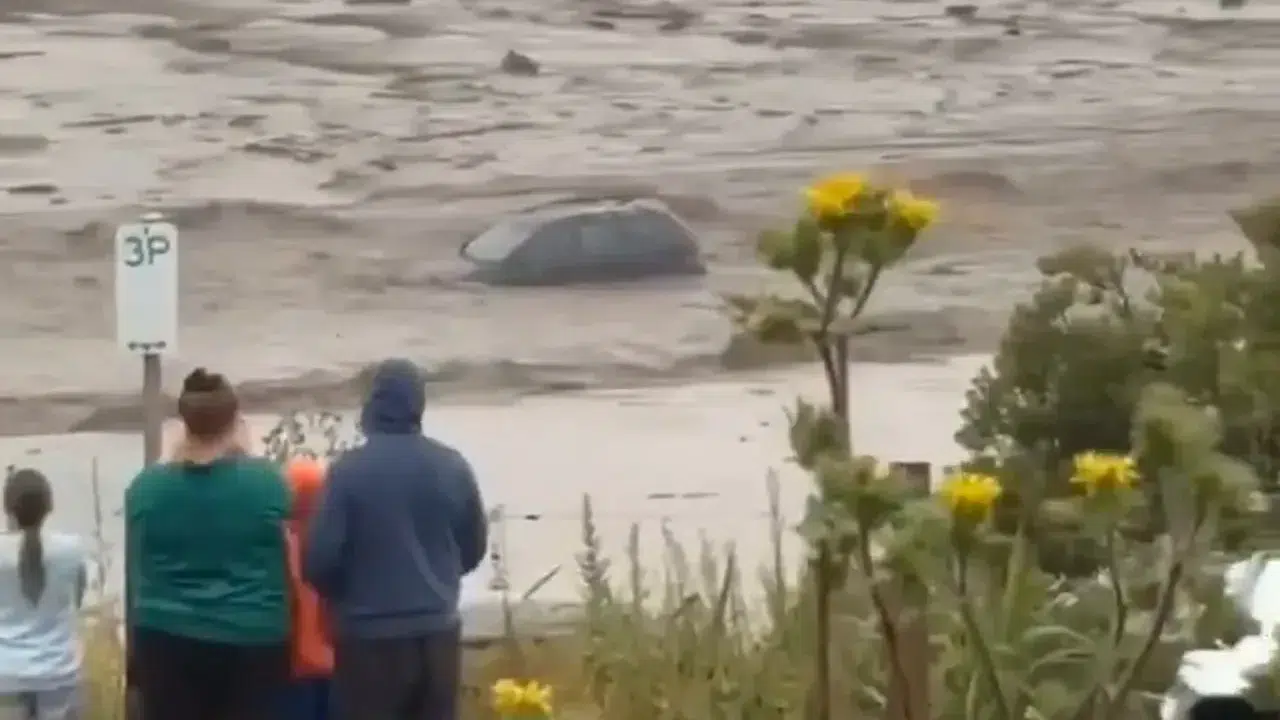 Avustralya’da yağan yağmur, araçları denize sürükledi; aileleri ise  meraka!
