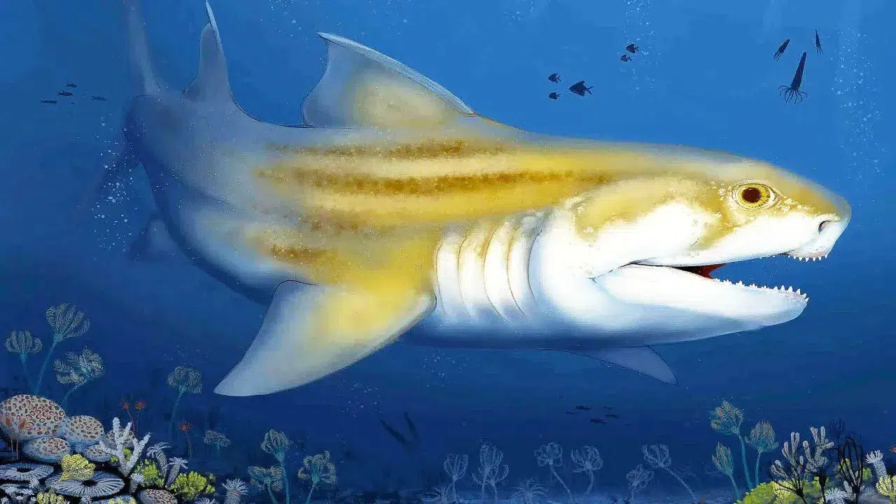 Dünyanın en büyük mağarasında 325 milyon yıllık köpekbalığı izlerine rastlandı!