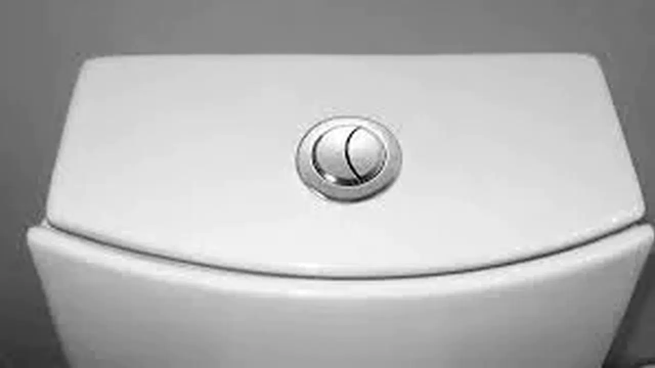 Çift Düğmeli Tuvalet Neden Var, Ne İşe Yarıyor?