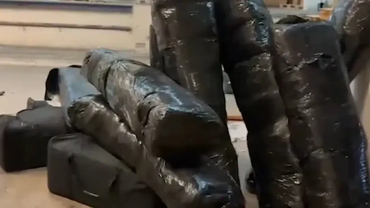 Bakan Yerlikaya açıkladı! Kapıkule’de 240 kg skunk uyuşturucu maddesi ele geçirildi