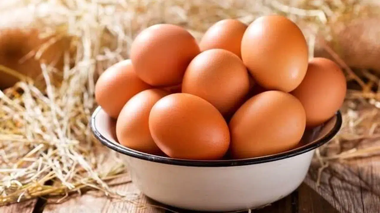 Yumurta Alzheimer Riskini Azaltır mı, Beyin Sağlığına Etkisi Nedir, Yumurta Faydalı mı?