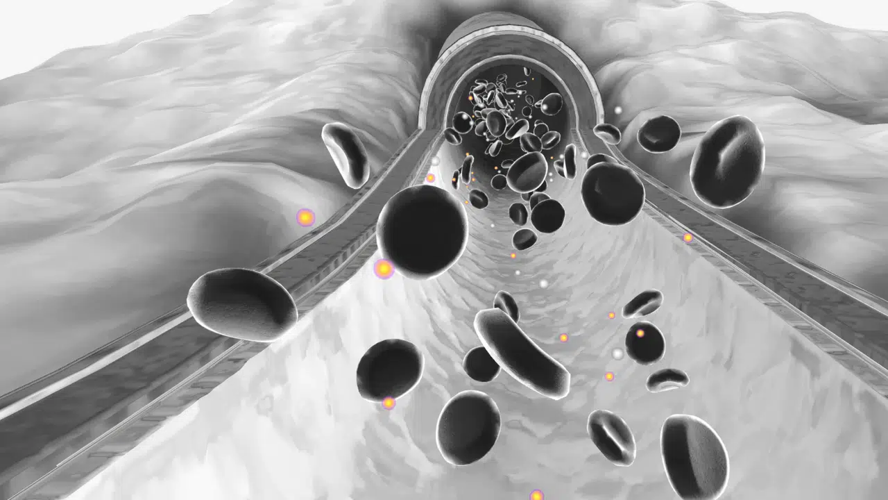 Trigliserid nedir, trigliserid yüksekliği neden olur ve trigliserid nasıl düşürülür?