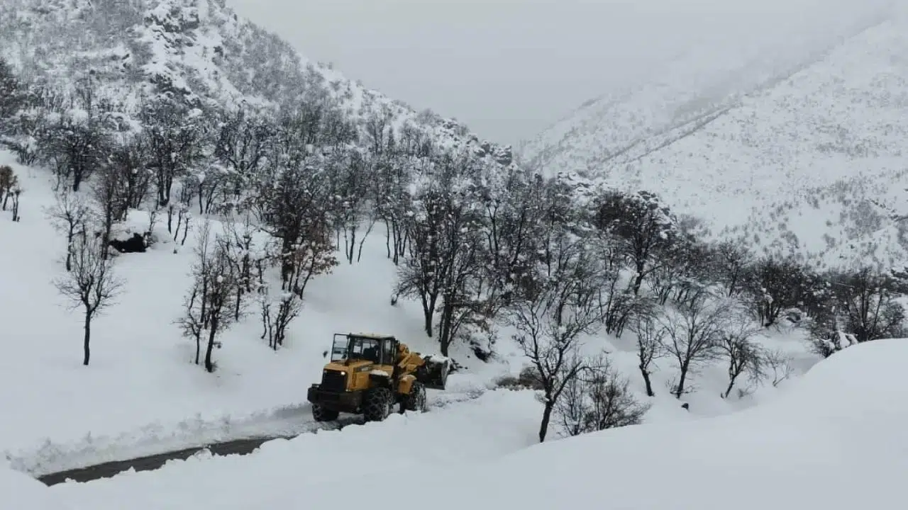 12 Şubat Şırnak’ta Okul Var mı, Eğitim Devam Ediyor mu? Soğuklar Eğitime Engel Oluyor!