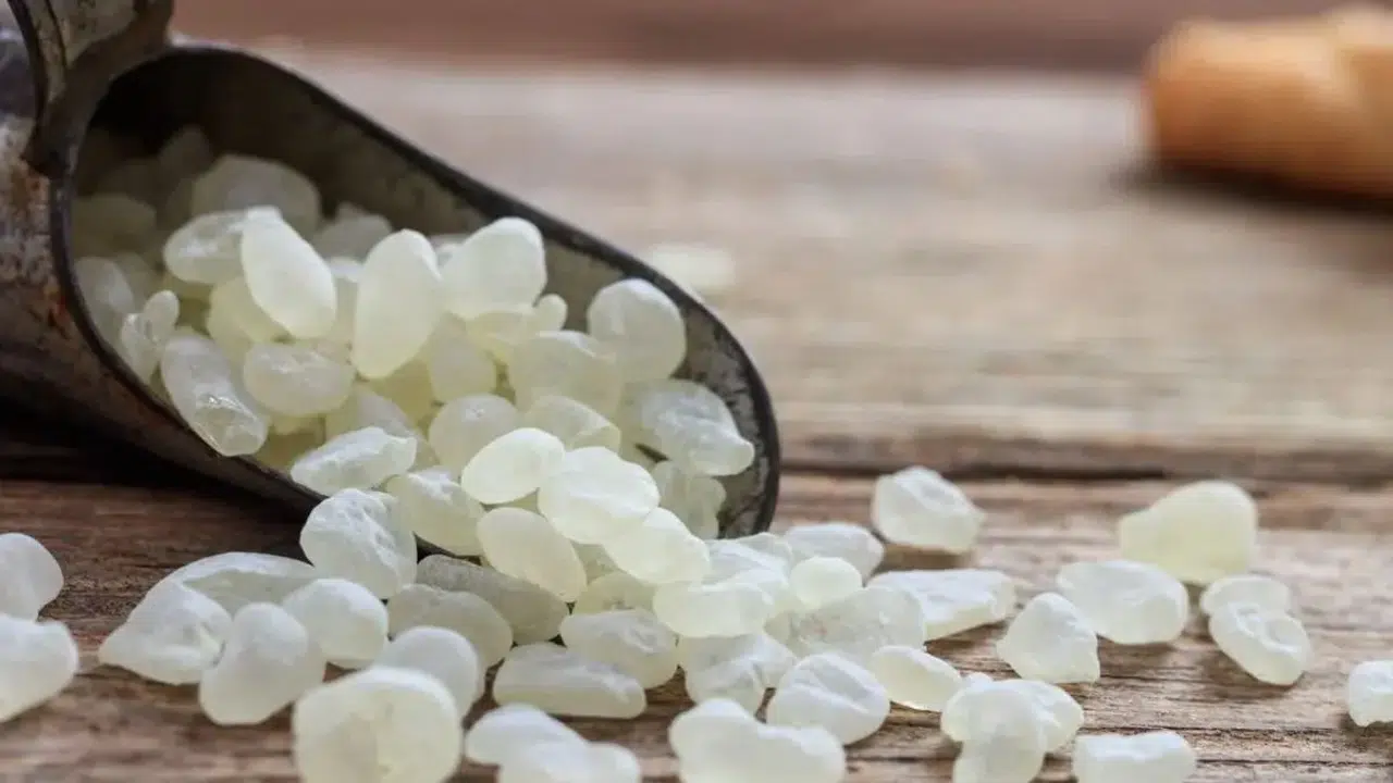 Damla Sakızı ne kadar kalori içerir, lif oranı ne durumda? Küçük miktar, dikkat çeken içerik dengesi