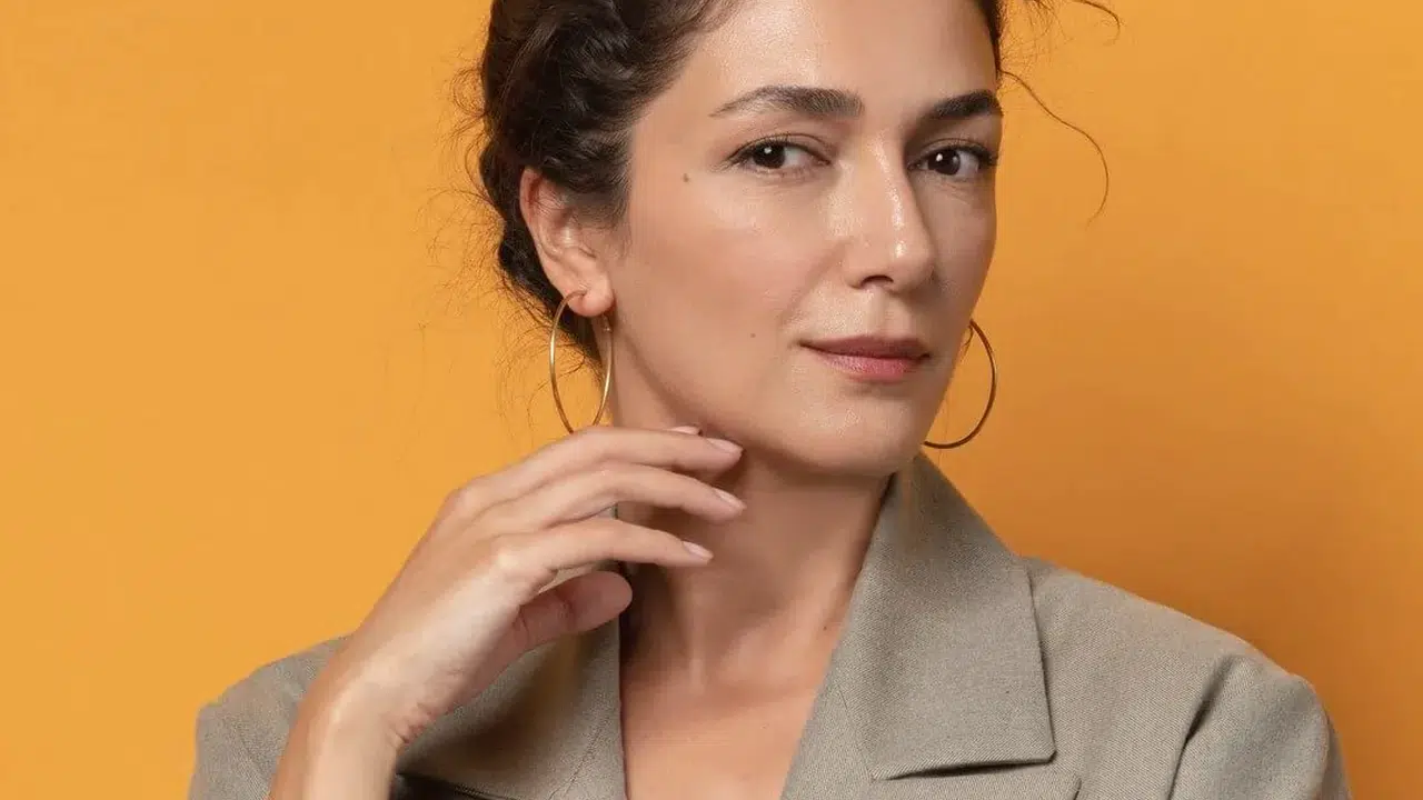 Doktorlar Başka Hayatta Aylin kim, Şebnem Hassanisoughi kaç yaşında, nereli, tv dizileri ve kariyeri