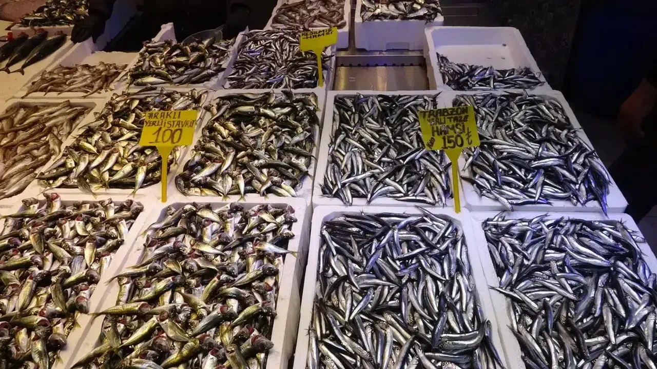Yerli Hamsi Tezgâhlara Döndü! Kilosu 150 TL’den Satılıyor