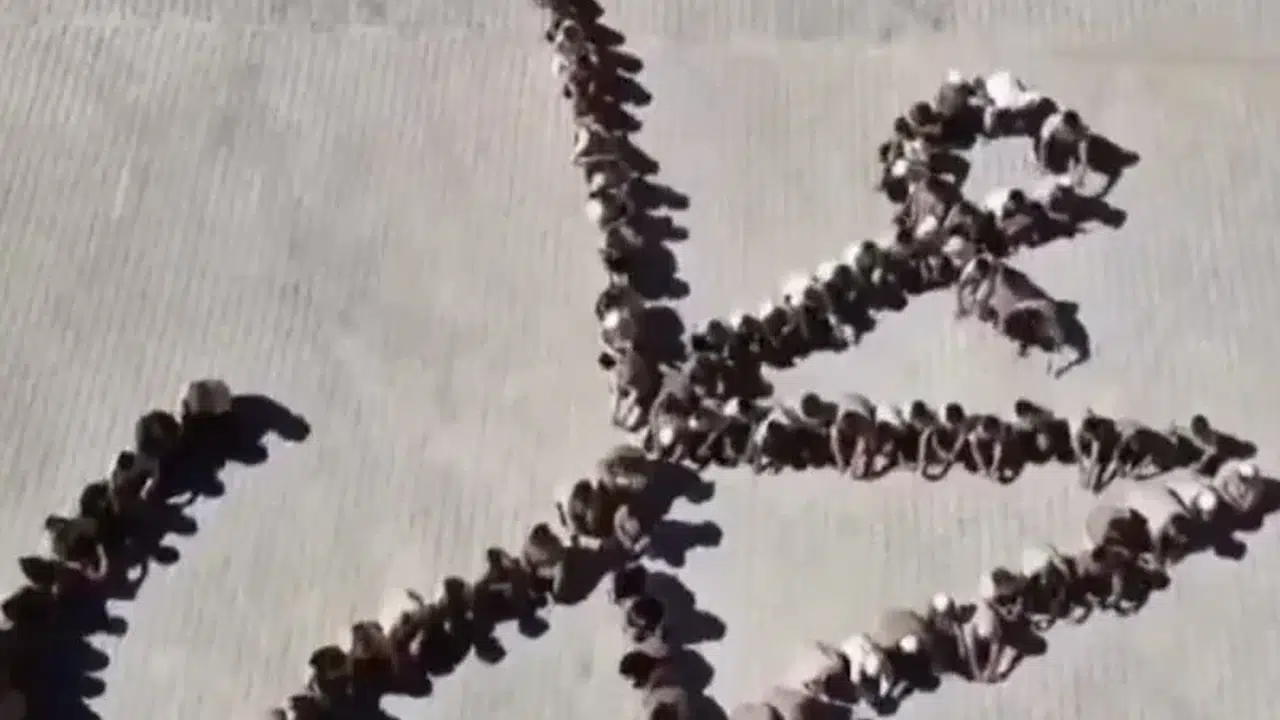 Adıyaman’da Ramazan Genelgesi Sonrası Anlamlı Koreografi: Öğrenciler Hz. Muhammed (s.a.v) İsmini Yazdı