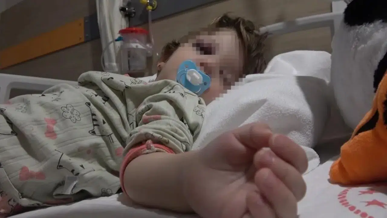 Çınarcık’ta baba ve 14 aylık bebeğe saldırı olayı ne, Şener Ergin kimdir, aslen nereli, tutuklandı mı?