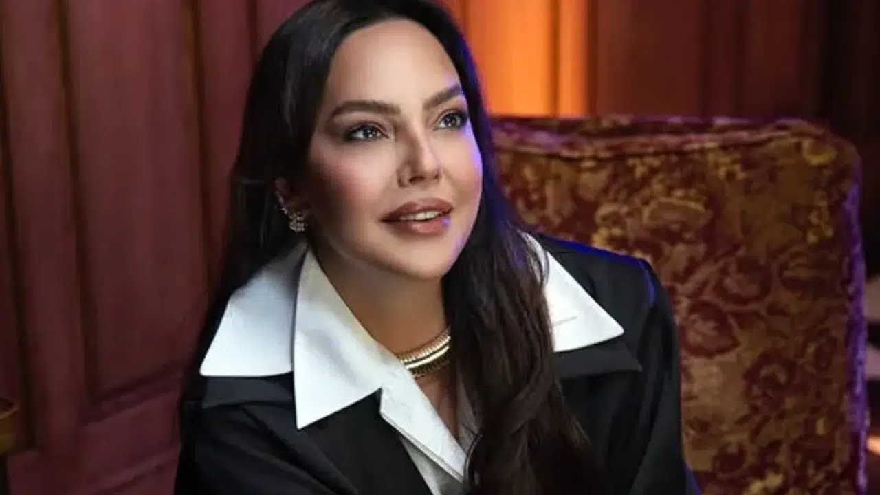 Ebru Gündeş mal varlığı ve serveti güncel 2026 ne kadar? Ünlü sanatçı ne kadar kazanıyor?