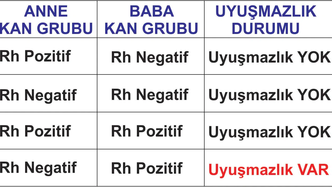 Hangi Kan Grupları Evlenemez? Evlilikte Kan Uyuşmazlığı Hangi Gruplarda Görülür, Aynı Kan Grubunda Olur mu?