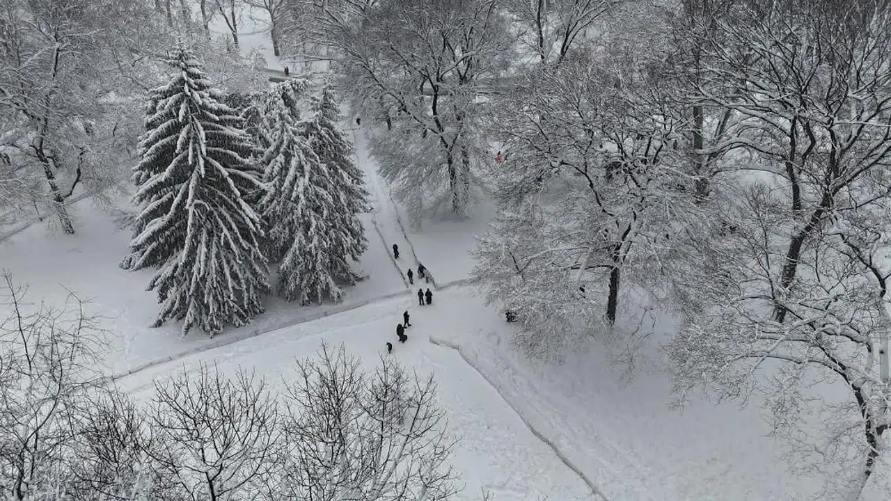ABD’de Kar Felaketi! 30 Milyon Kişi Etkilendi, Binlerce Uçuş İptal