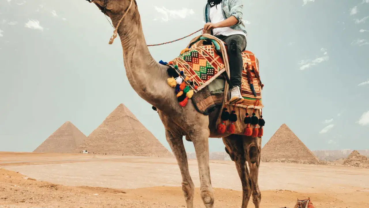 Suudi Arabistan deve pasaportu nedir ve yerel ile uluslararası pazarlarda güvenilirliği nasıl artıracak?