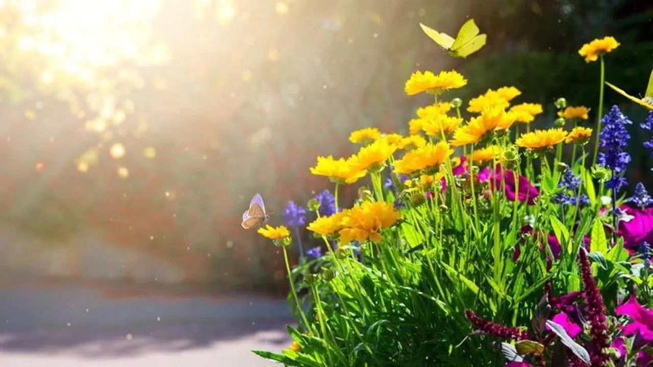 Ağustos ayı 30 mu 31 mi çekiyor, kaç gün sürüyor, kaçıncı ay? Takvimdeki yeri ve önemi