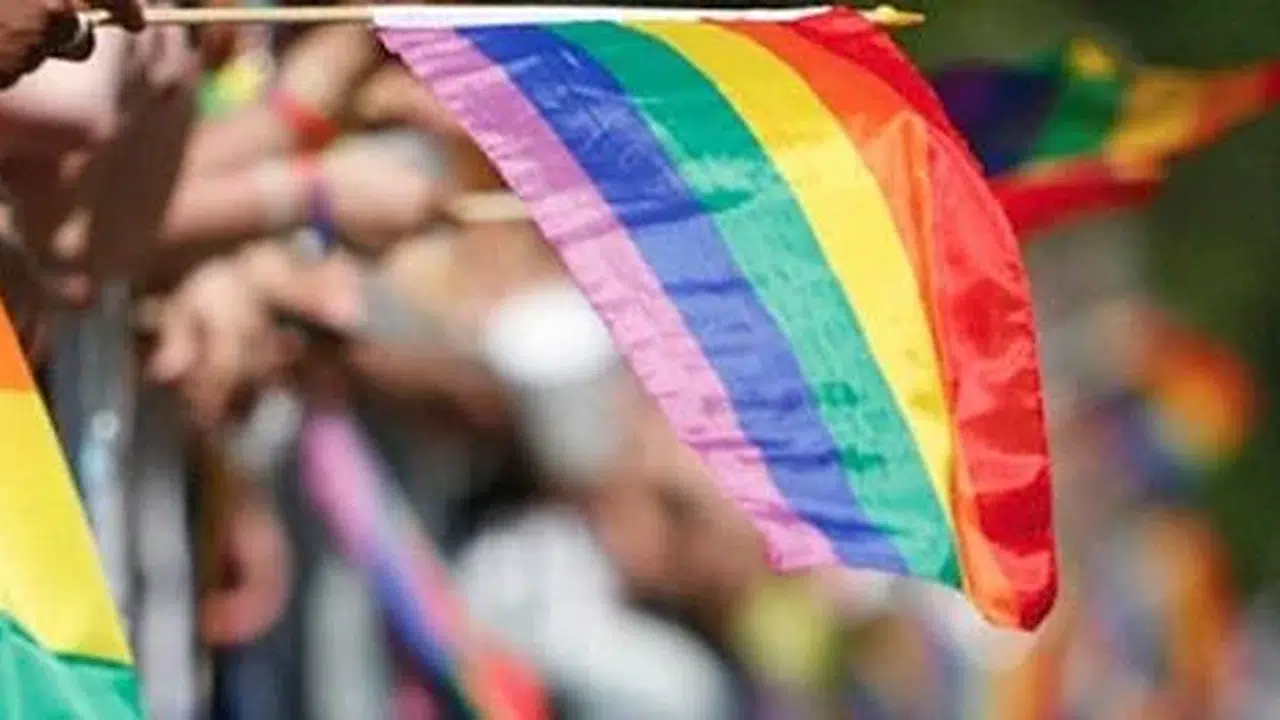 LGBTİ düzenlemesi nedir, neleri kapsıyor? Yeni suç tanımlarıyla kimler cezaevine girebilir?