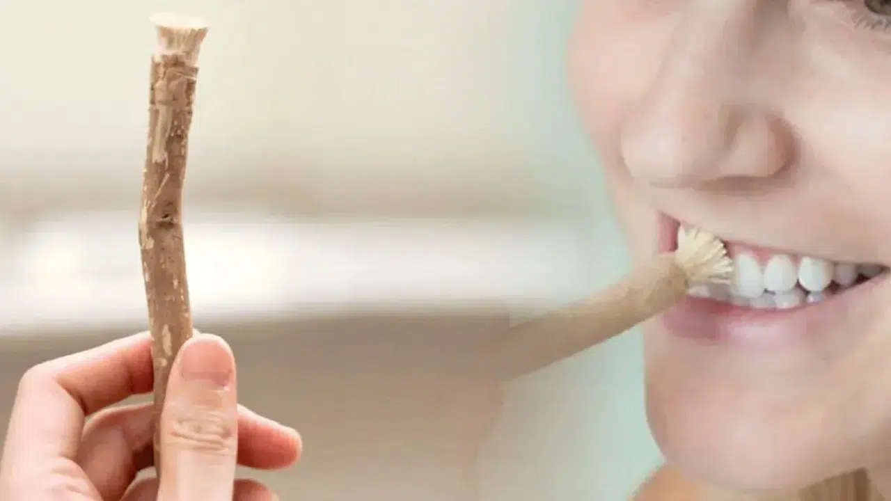 Ramazan’da Misvak Caiz mi, Kullanmak Orucu Bozar mı, Zarar Verir mi, Zedeler mi?