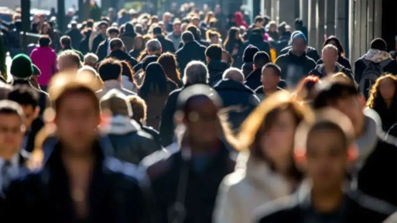 TÜİK işsizlik oranı yüzde kaç oldu, du, 2025 dördüncü çeyrekte işsiz sayısı ve istihdam nasıl değişti?