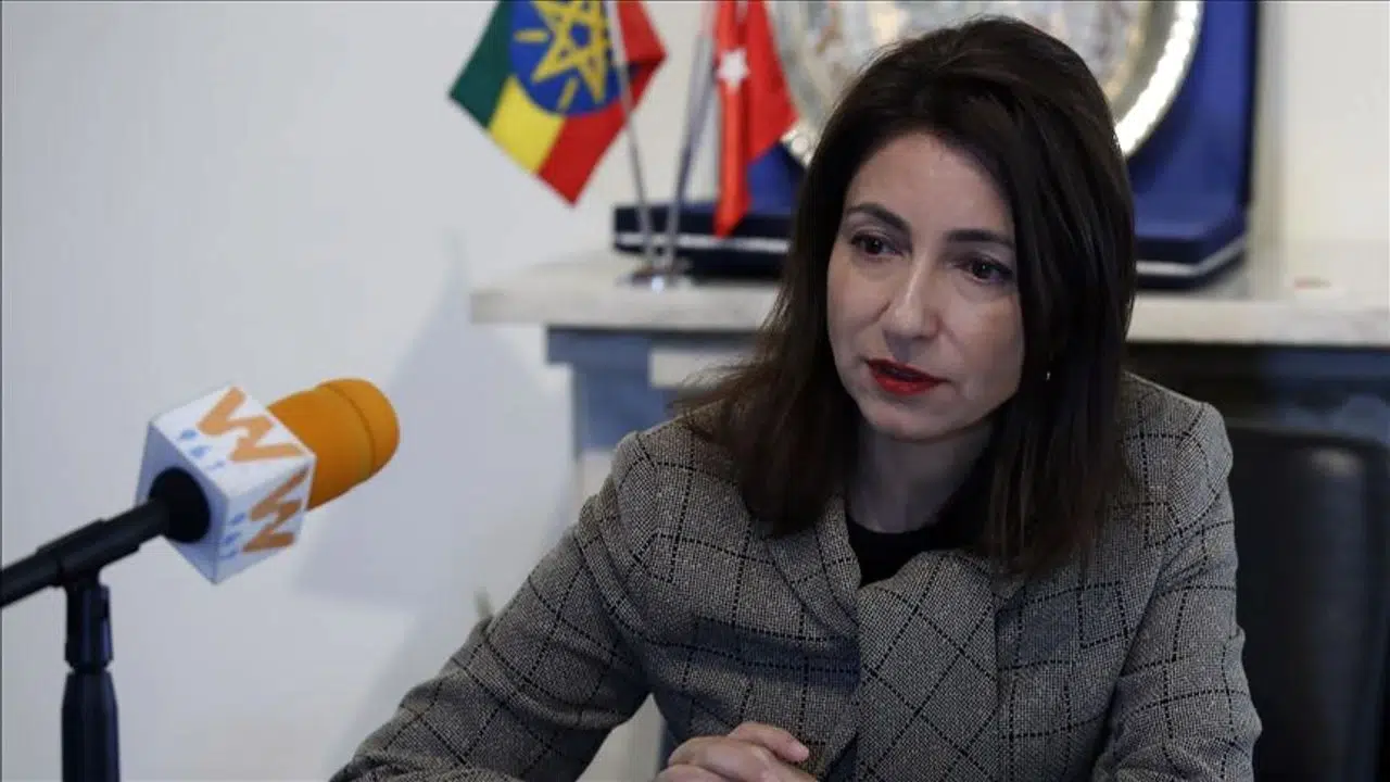 Büyükelçi Yaprak Balkan kimdir, doğum yeri, evli mi, görevleri? Diplomatik kariyeri ve hayatı