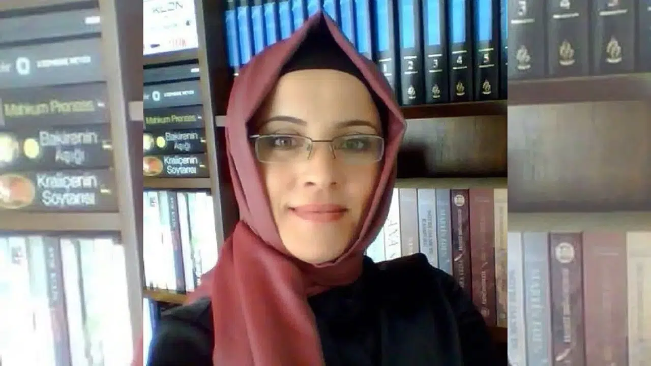 Taşacak Bu Deniz senaristi Nehir Erdem kimdir, nereli , daha önce yazdığı diziler