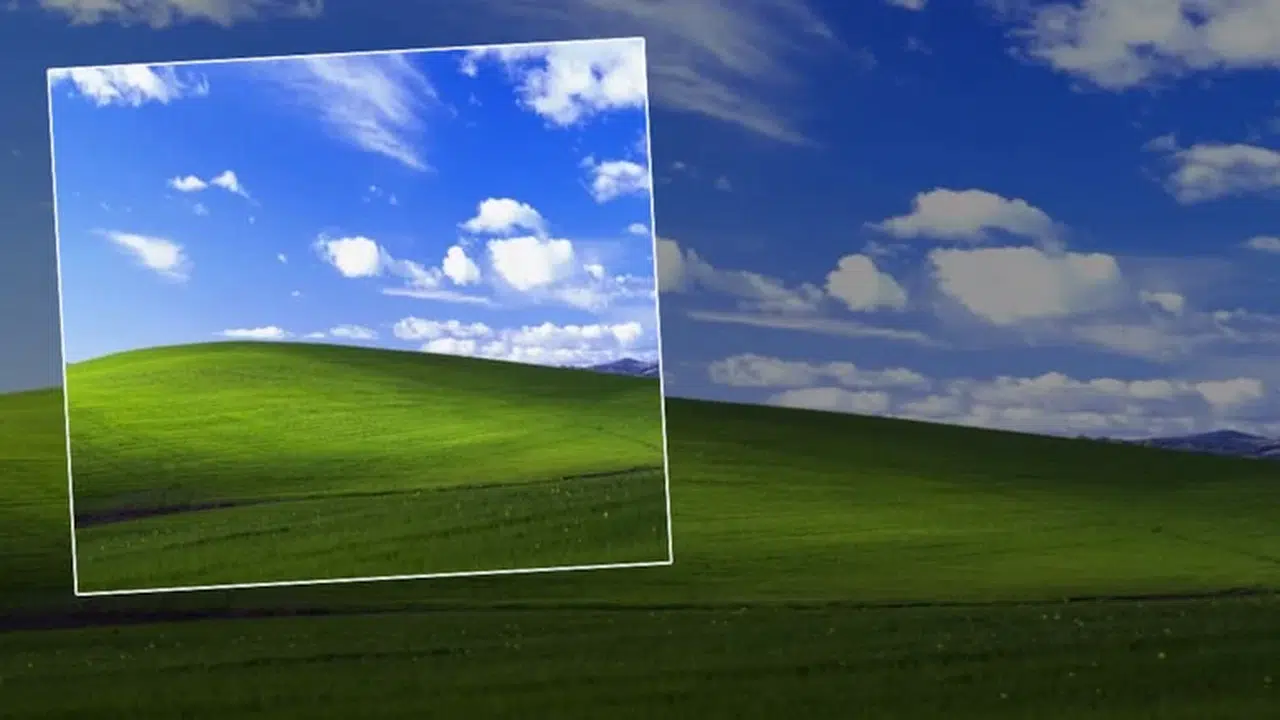 Windows XP’nin İkonik 'Bliss' fotoğrafı gerçek çıktı!