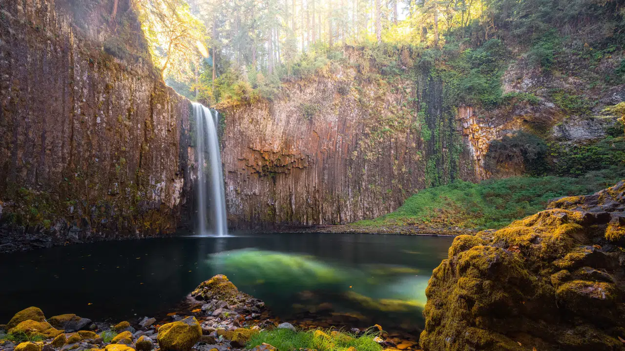 Abiqua Şelalesi neden satışa çıkarıldı, ne kadar ve kaç dolara satışta, neden satılıyor?