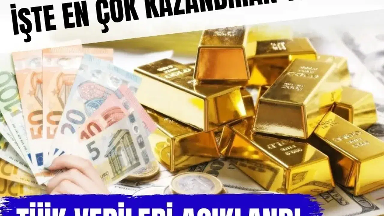TÜİK verileri açıklandı! Ocak ayının en çok kazandıran yatırımı belli oldu