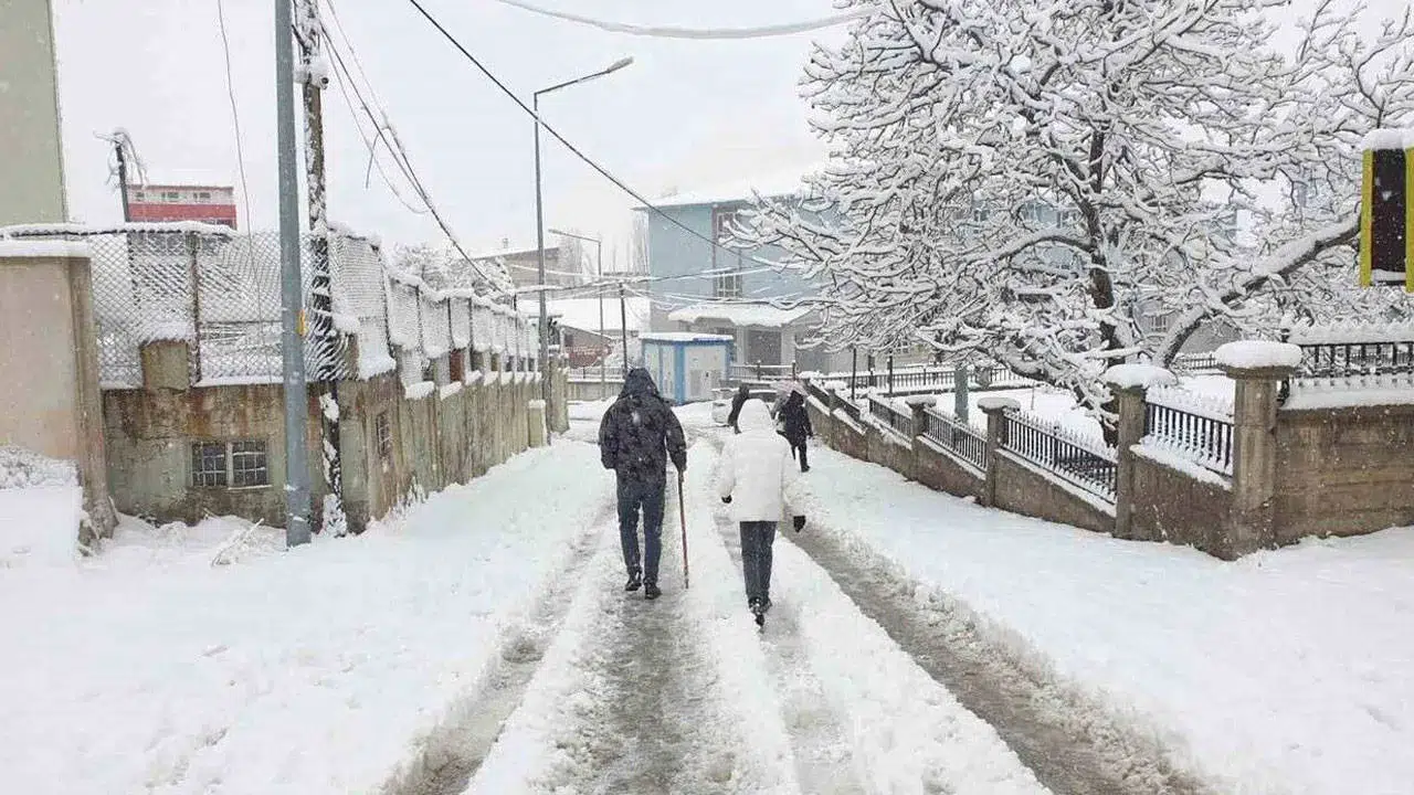 Van’da kar ve sis bir arada! 141 yerleşim yerinin yolu kapandı