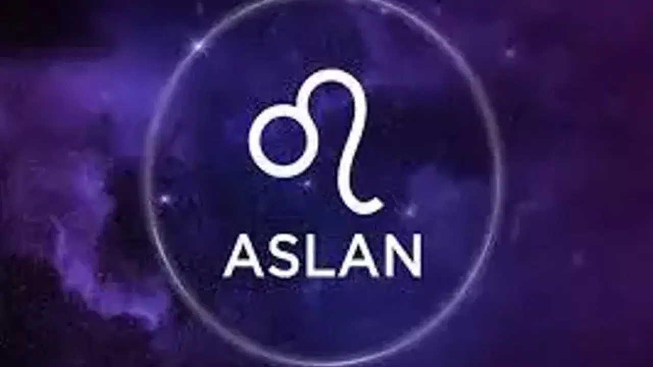 Aslan burcu için geçmişten gelen ailevi sorunlar, içe çekilme ihtiyacı ve evde enerjileri temizlemek ne anlatıyor?