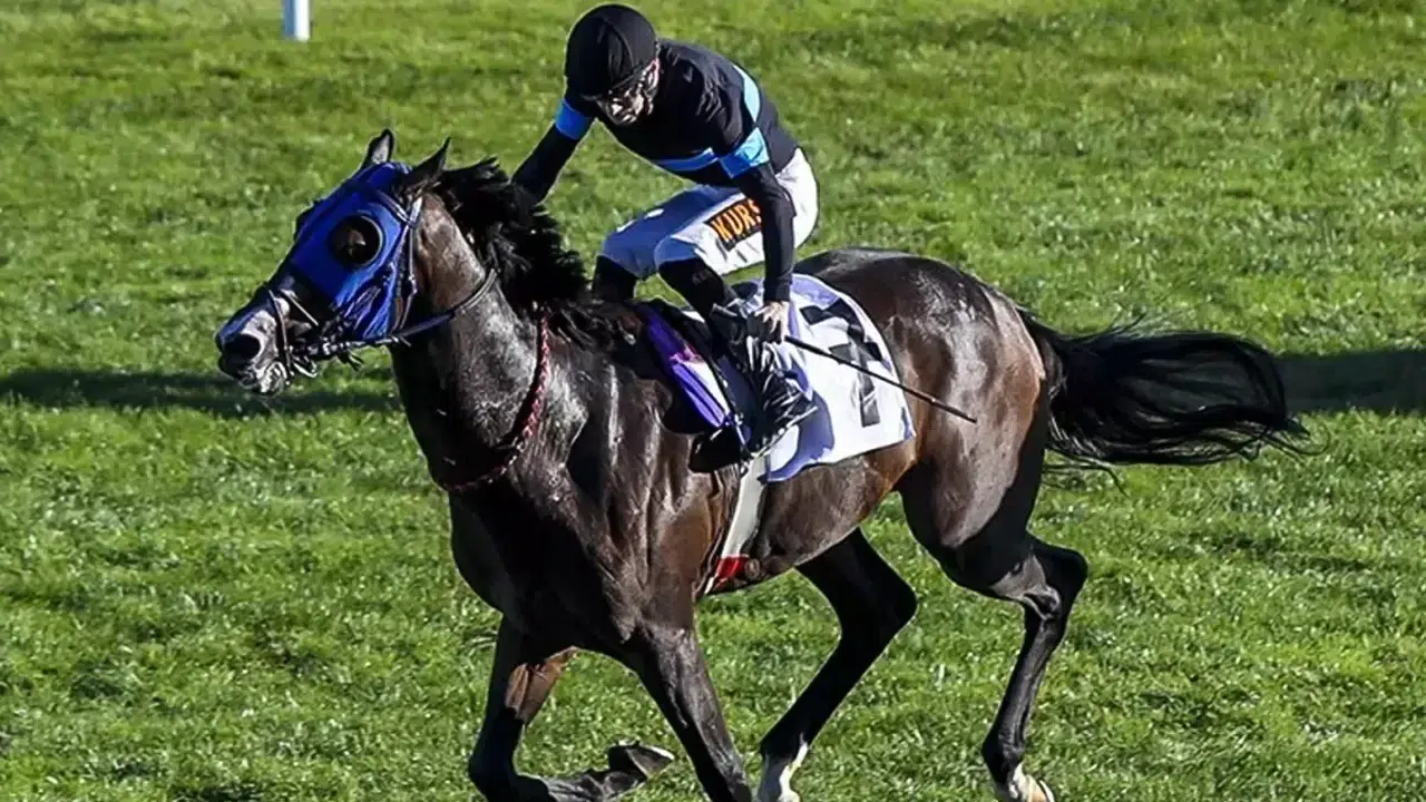 Meclis’te 100 Milyonluk At Bombası! 'Atlar Yok' İddiası Gündemi Sarstı