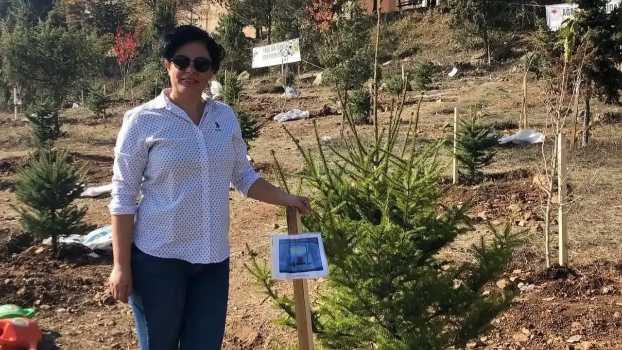 Bolu’da üzücü olay anne, oğlunun mezarı başında hayatını kaybetti!