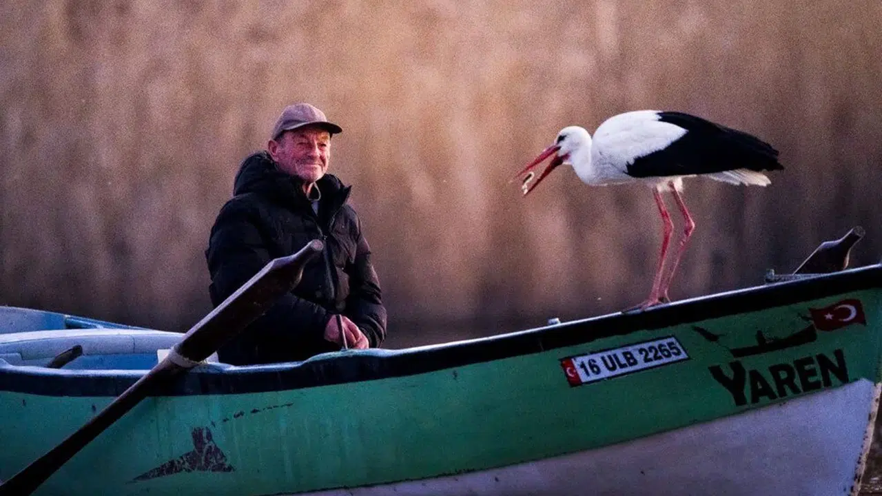 Yaren Leylek şu an nerede(2026), Türkiye’ye döndü mü, ne zaman gelecek?