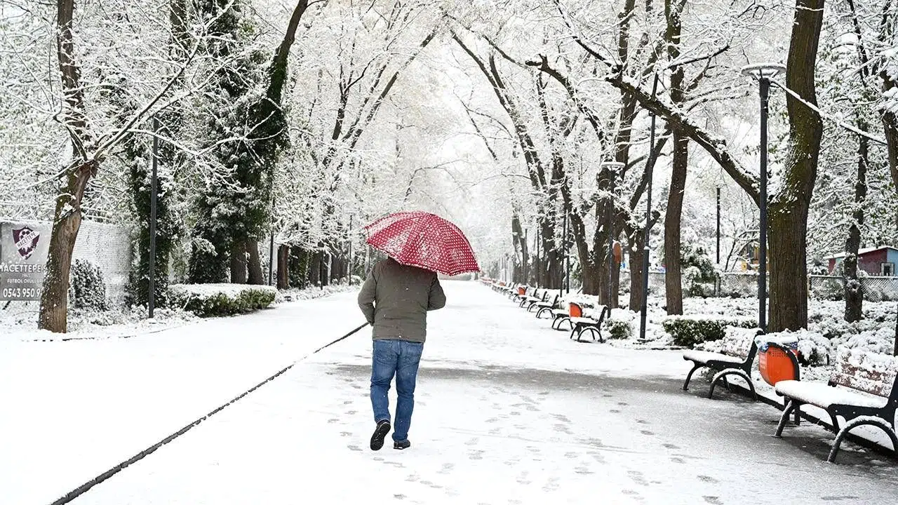 Bugün Erzurum' da Hava Durumu Nasıl, Kar Var Mı?