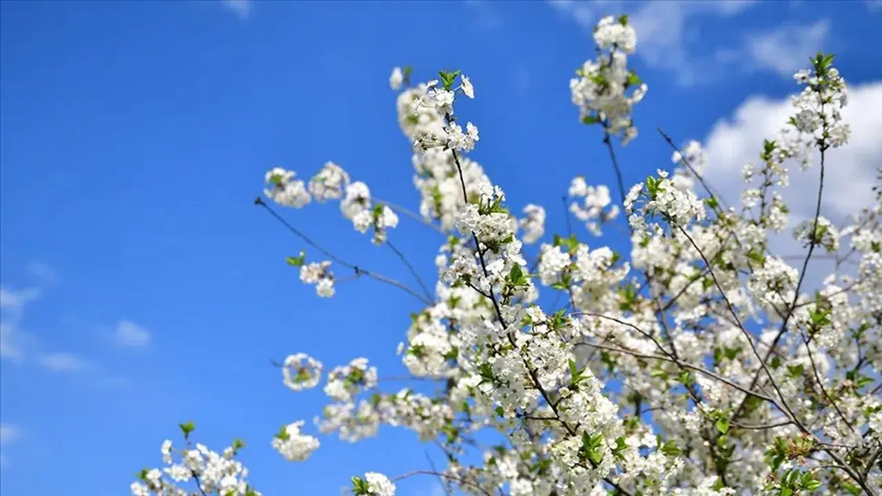 Cemre Düşmesi Nedir, 2026 Cemre Tarihleri Hangi Günlere Denk Geliyor?