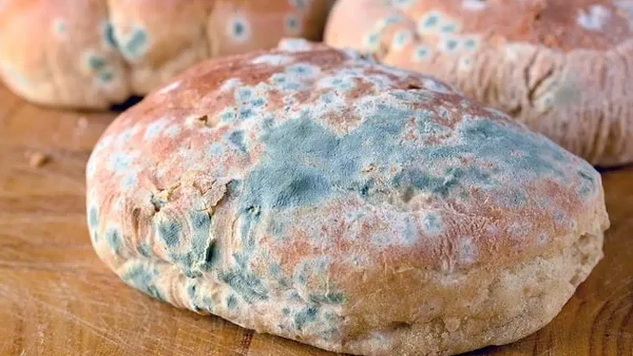 Bir Dilim Bile Riskli! Küflü Ürünlerde Büyük Tehlike