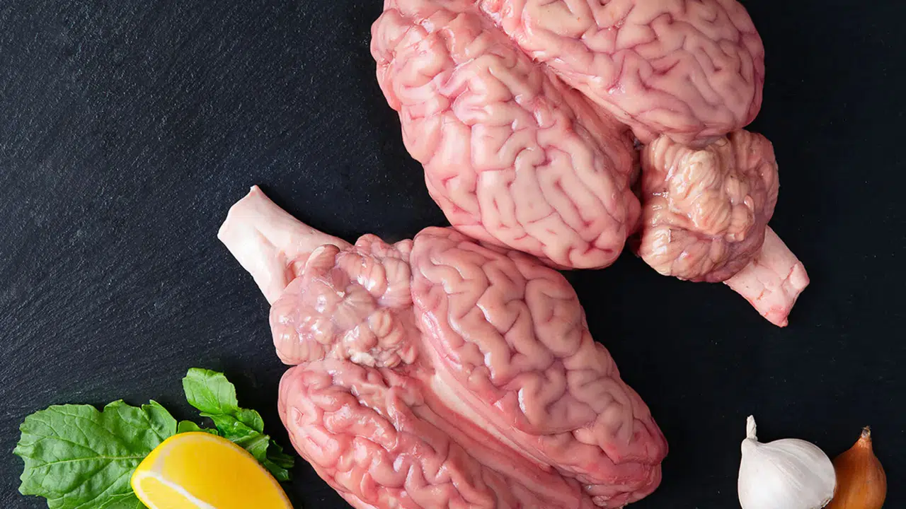 Dana Beyin (Pişmiş) Kaç Kalori, Besin Değeri Nedir, Protein Oranı Ne, Kilo Aldırır mı?