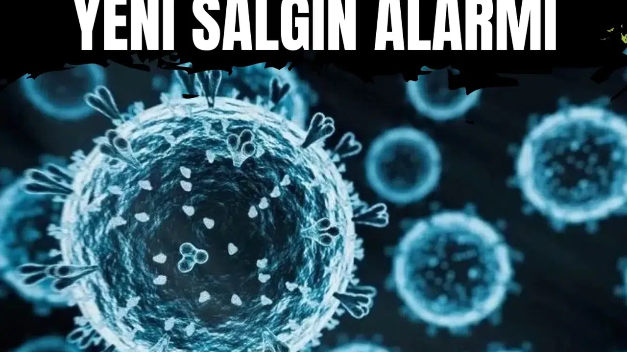 İnfluenza D virüsüne ilişkin yeni bulgular: İnsanlarda sessiz yayılım ihtimali