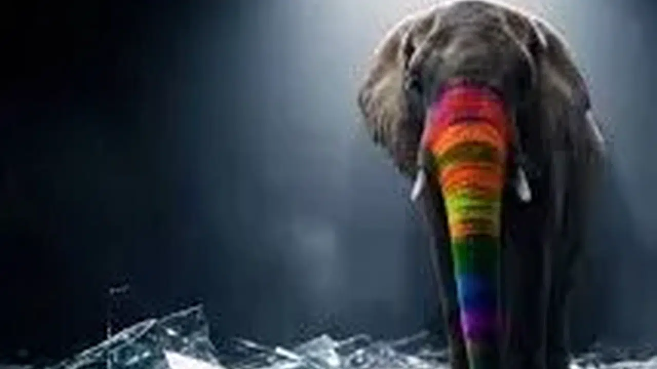 Tabii Gökkuşağı Faşizmi konusu (GERÇEK Mİ KURGU MU) yayın tarihi, nereden izlenir?