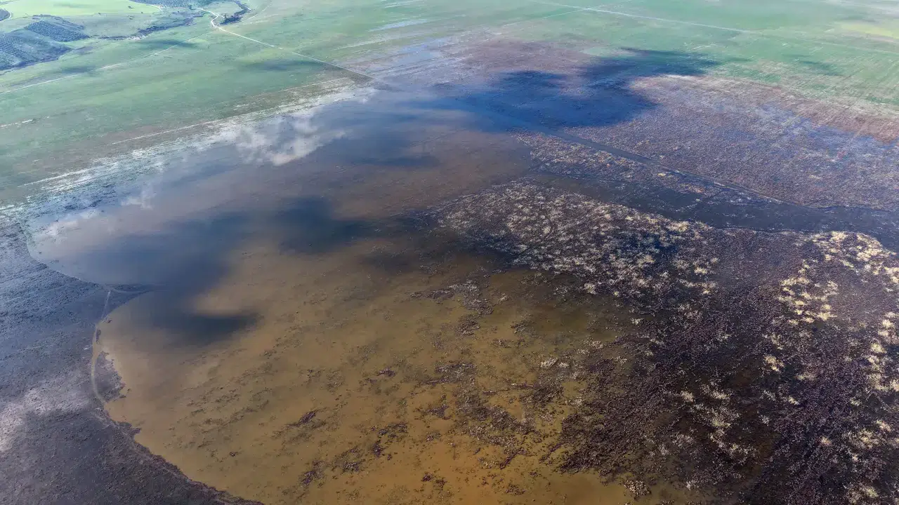 Kuruyan göl havzasında umut veren görüntü