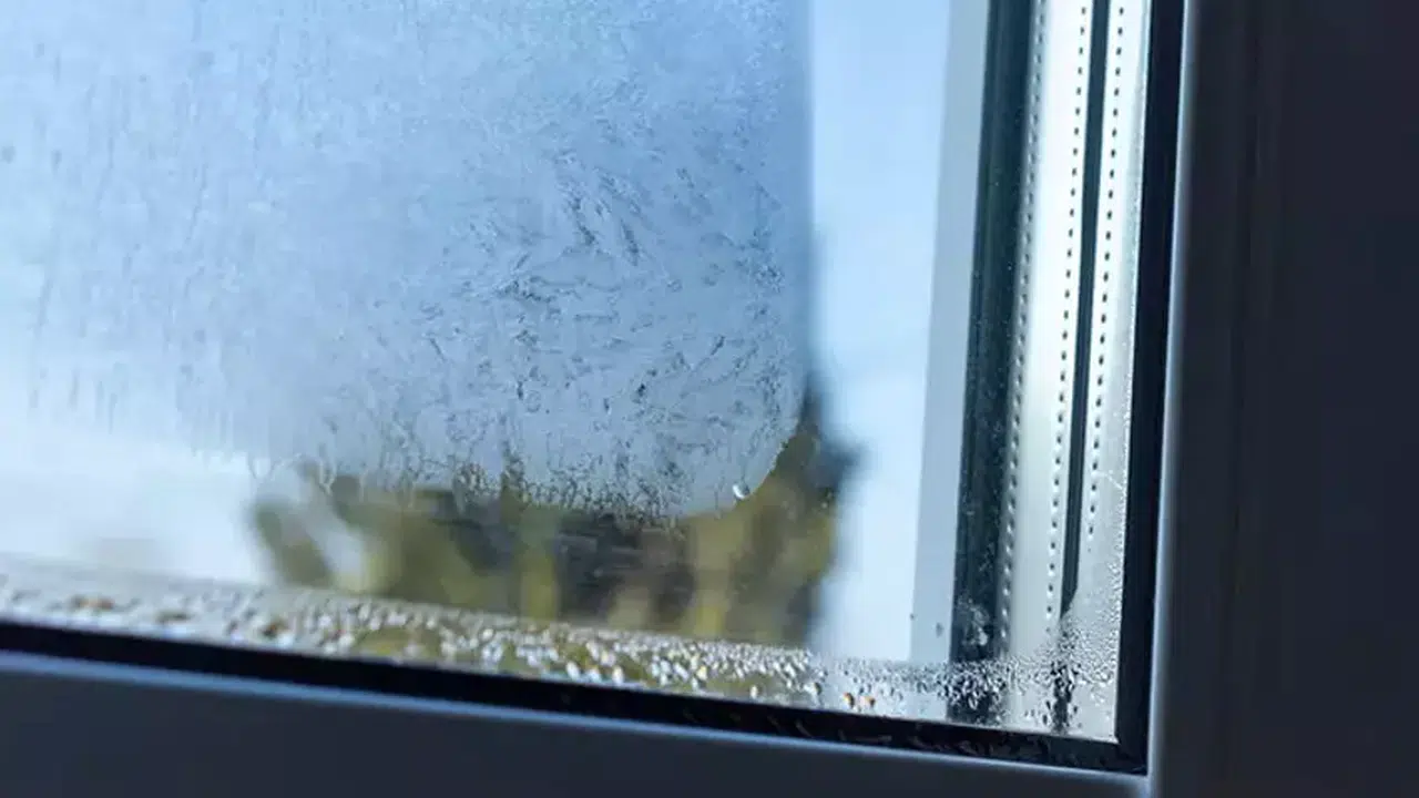 Cam Kenarındaki Küf ve Yoğuşma Nasıl Önlenir? Pencere Önüne Koyulan Bir Kase Tuz Gerçekten İşe Yarıyor mu?