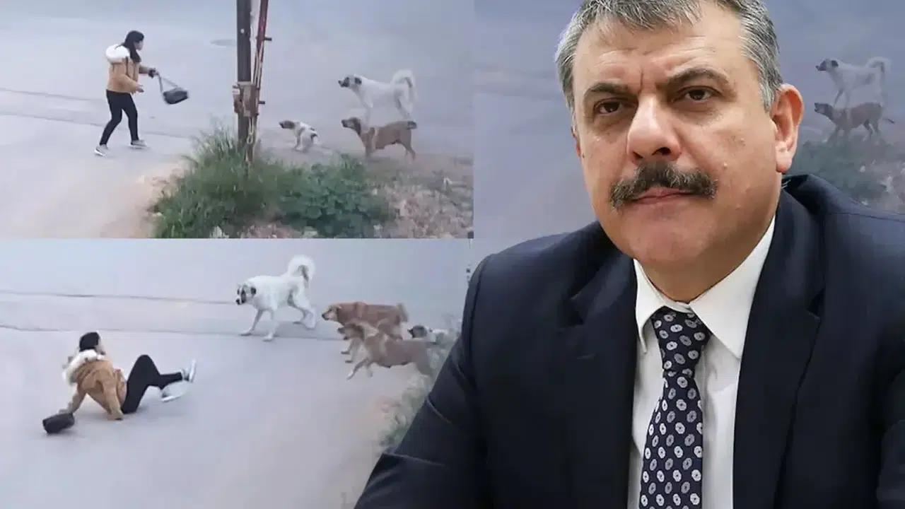 Çiftçi Bakan Oldu, Erzurum’daki Sokak Köpeği Modeli Gündeme Taşındı!