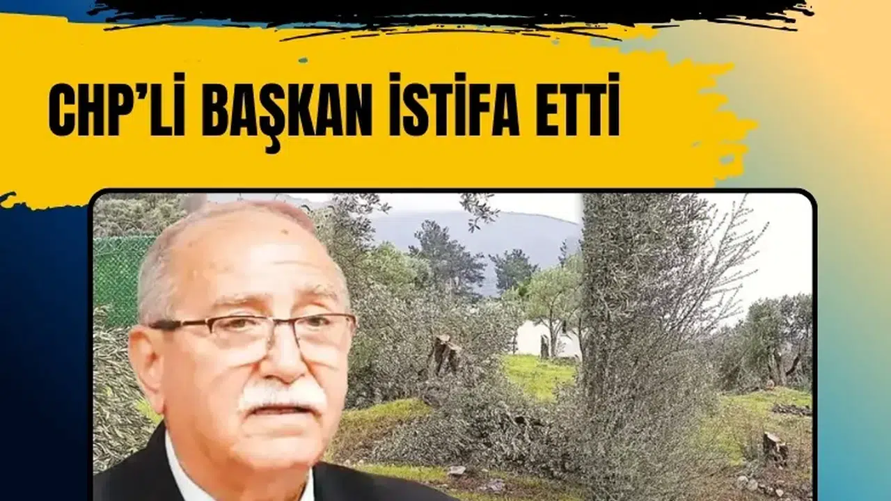 Milas’ta zeytin ağaçları iddiası sonrası CHP İlçe Başkanı Ahmet Kılbey görevden ayrıldı