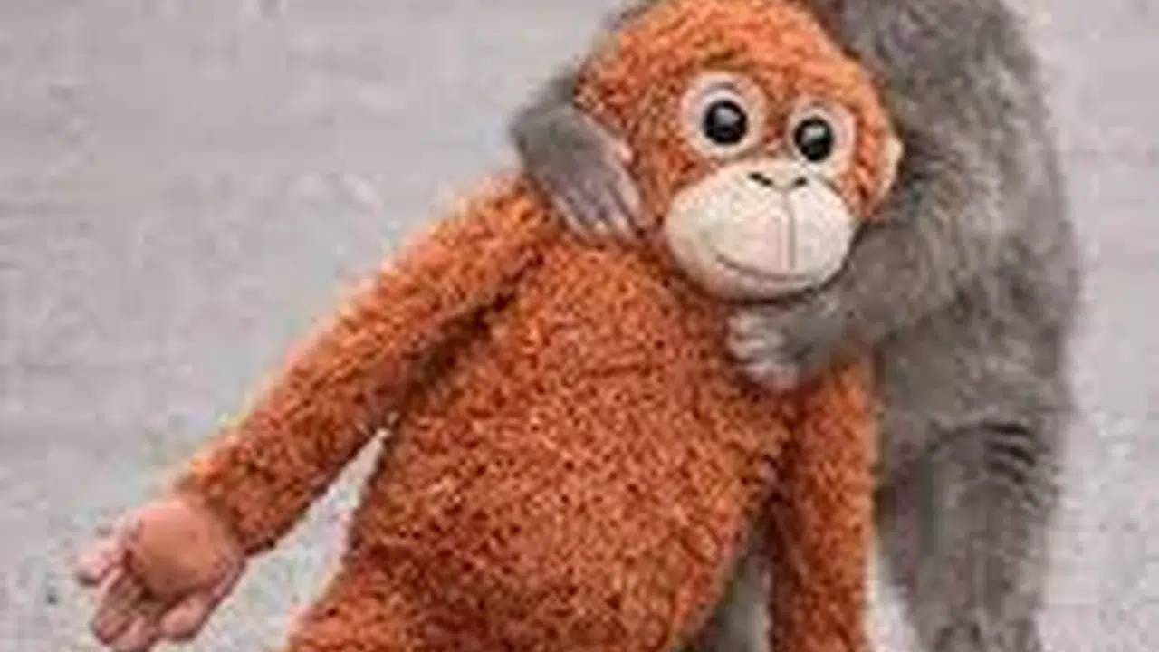 Sosyal Medyada Gündem Olan Makak Yavrusu Neden Terk Edildi? Asıl Gerçek Ortaya Çıktı!