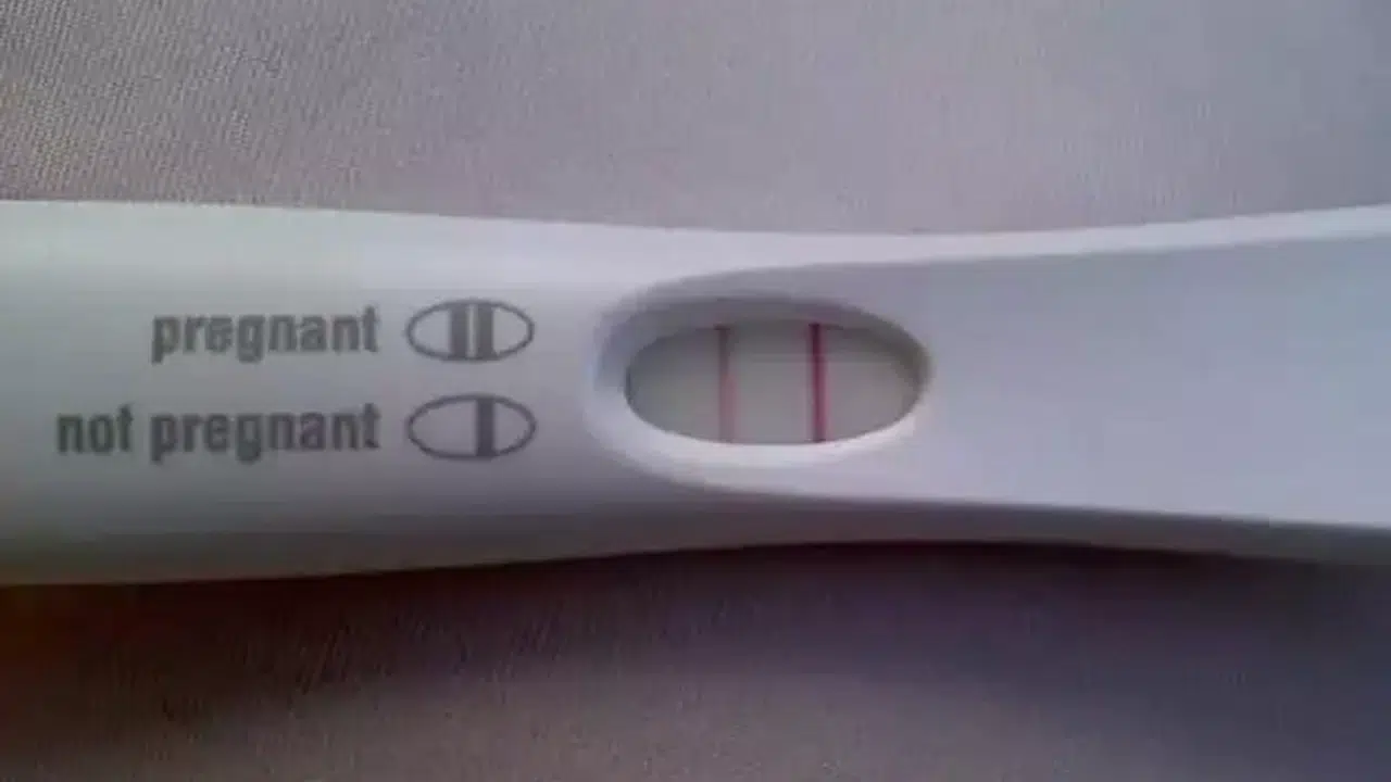 Maydanoz Süt Buharı Adet Kaçıncı Gün Yapılır, Süt ve Maydanoz Kürü Hamile Kalma Şansını Artırır mı?