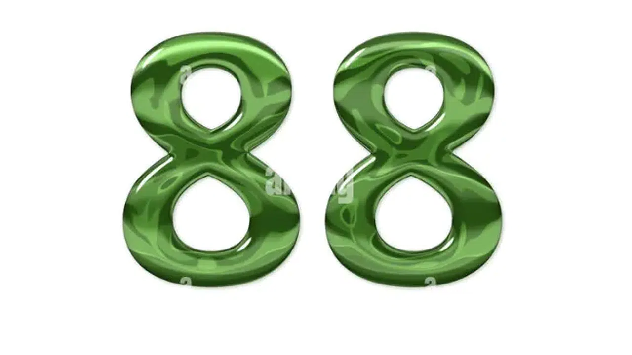 88 plaka hangi ilin kodu, nerenin plakasıdır, 88 plakalı şehir var mı?