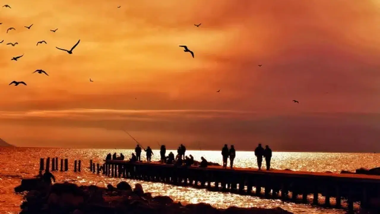 “Hayat Kısa Kuşlar Uçuyor” Şiirinin Adı Nedir? Hayat Kısa Kuşlar Uçuyor Şiiri Kime Ait ve Hangi Kitapta Yer Alıyor?