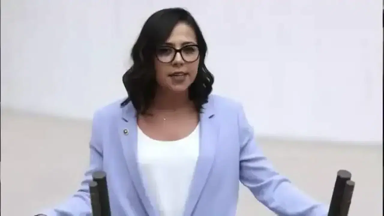 Sera Kadıgil hayatı, kaç yaşında, Alevi mi, hangi partiden ve evli mi?