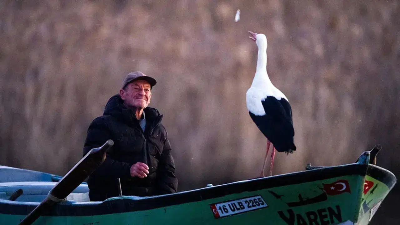 Yaren Leylek Geldi Mi, Bursa Karacabey Eskikaraağaç Mahallesi Nerede, Yaren Bu Yıl Neden Gecikti, Nazlı Leylek Köye Ulaştı Mı?