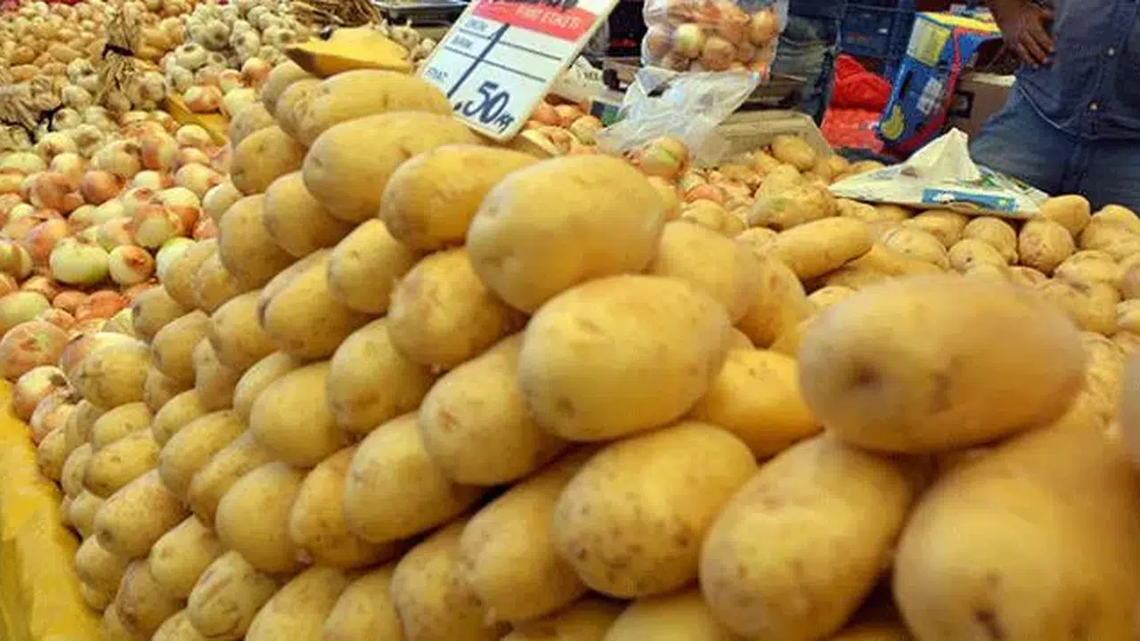 2026 BİM Patates Fiyatları Ne Kadar, Soğan Fiyatları Kaç TL, Aktüel Katalogda Var mı?