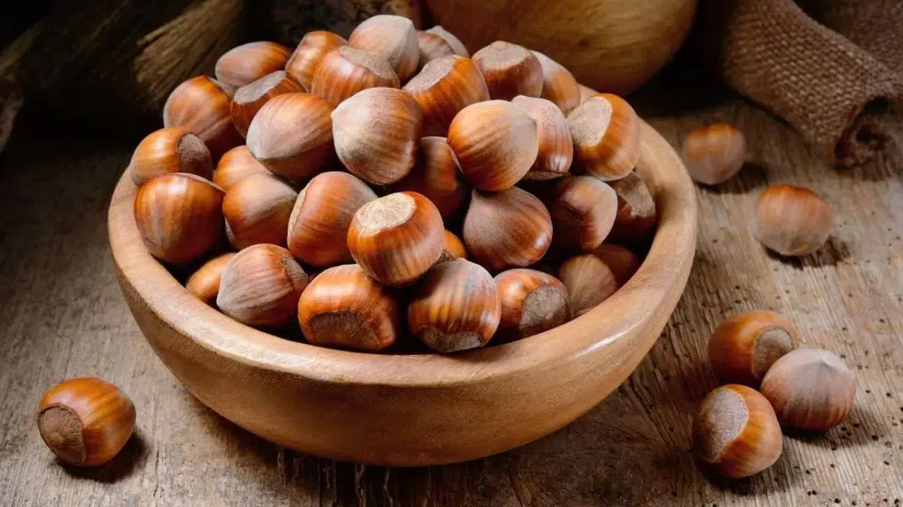 Fındık Piyasası Neden Hareketlendi? Yeni Sezon Öncesi Kritik Dönem